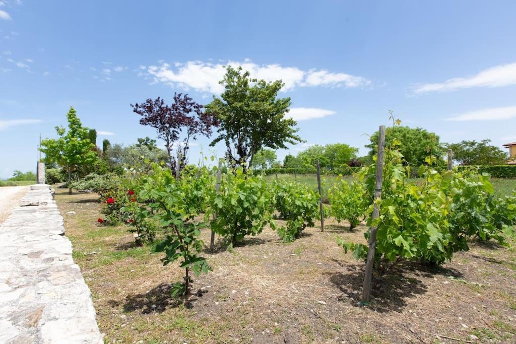 كامبوباسّو Villa Ruffo المظهر الخارجي الصورة